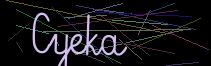 Token